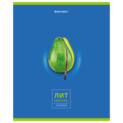 Тетрадь предметная "AVOCADO" 48 л., глянцевый лак, ЛИТЕРАТУРА, линия, подсказ, BRAUBERG, 404281 по низкой цене оптом 