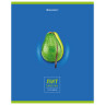 Тетрадь предметная "AVOCADO" 48 л., глянцевый лак, ЛИТЕРАТУРА, линия, подсказ, BRAUBERG, 404281 по низкой цене оптом 