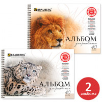 Альбомы для рисования А4 40 л., КОМПЛЕКТ 2 шт., гребень, обложка картон, BRAUBERG, 205х290 мм, "Хищники" (2 вида), 880028