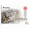 Альбомы для рисования А4 40 л., КОМПЛЕКТ 2 шт., гребень, обложка картон, BRAUBERG, 205х290 мм, "Хищники" (2 вида), 880028 по низкой цене оптом 
