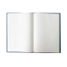 Книга учета 160 л., клетка, твердая, бумвинил, блок офсет, А4 (200х290 мм), BRAUBERG, 130182 по низкой цене оптом 