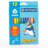 Фломастеры 12 ЦВЕТОВ CENTROPEN "Just Perfect", смываемые, устойчивы к высыханию, 2510/12KK, 7 2510 1285 по низкой цене оптом 