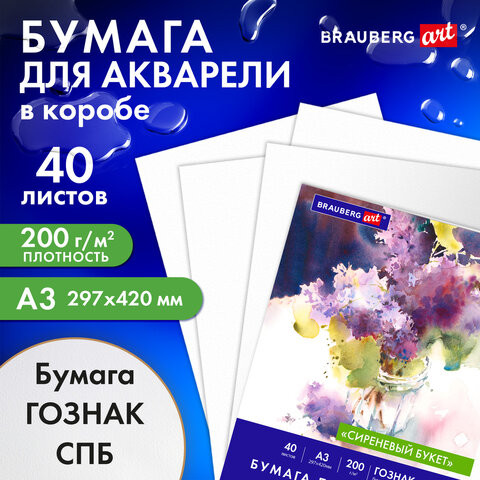 Бумага для акварели А3 40л, 200г/м2 ГОЗНАК СПб, в коробке, BRAUBERG ART CLASSIC, СИРЕНЕВЫЙ БУКЕТ, 116886 по низкой цене оптом 