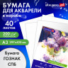 Бумага для акварели А3 40л, 200г/м2 ГОЗНАК СПб, в коробке, BRAUBERG ART CLASSIC, СИРЕНЕВЫЙ БУКЕТ, 116886 по низкой цене оптом 