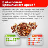 Бразильский орех сушеный, очищенный NARMAK 1 кг по низкой цене оптом 