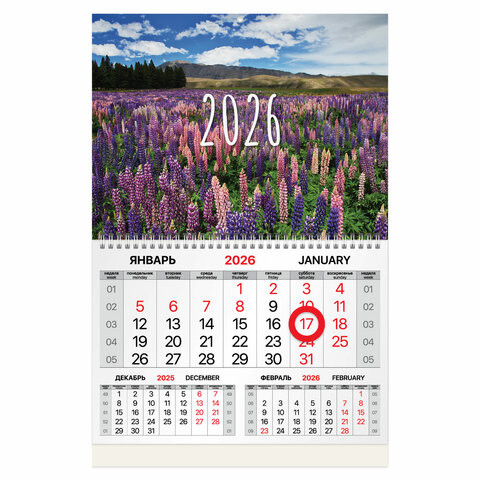 Календарь квартальный 2026г, 1 блок 1 гребень, магнитный курсор, мелованная бумага, BRAUBERG, Люпины, 116915 по низкой цене оптом Календарь квартальный 2026г, 1 блок 1 гребень, магнитный курсор, мелованная бумага, BRAUBERG, Люпины, 116915 по низкой цене оптом