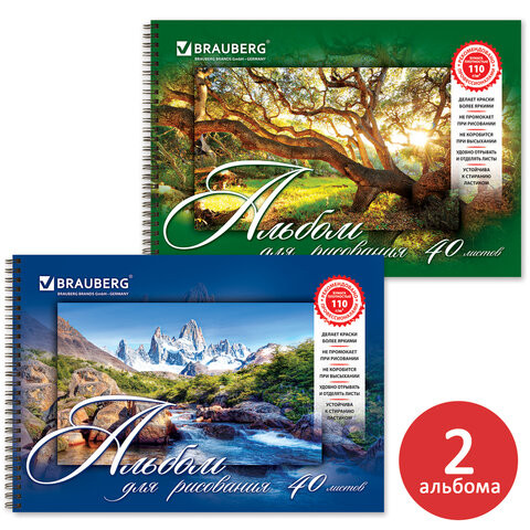 Альбомы для рисования А4 40 л., КОМПЛЕКТ 2 шт., гребень, обложка картон, BRAUBERG, 205х290 мм, "Природа" (2 вида), 880031 по низкой цене оптом 