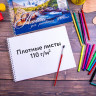 Альбомы для рисования А4 40 л., КОМПЛЕКТ 2 шт., гребень, обложка картон, BRAUBERG, 205х290 мм, "Природа" (2 вида), 880031 по низкой цене оптом 