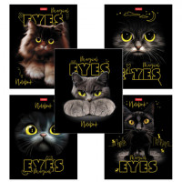 Тетрадь А5 48л. HATBER скоба, клетка, матовая ламинация, 3D лак, Волшебные глаза (микс), 088313, 48Т5лолВ1