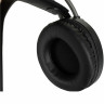 Наушники с микрофоном (гарнитура) A4TECH Fstyler FH200U, проводные, 2 м, USB, серые, 1431333 по низкой цене оптом Краснодар, Москва, Уфа, Казань, Барнаул, Владивосток, Хабаровск, Сахалин, Красноярск, Екатеренбург, 