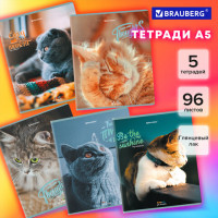 Тетради ДЭК А5 96 л. КОМПЛЕКТ 5 шт., BRAUBERG скоба, клетка, матовая ламинация, "Котики", 404693