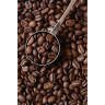 Кофе в зернах COFFESSO "Classico", 100% арабика, 1000 г, вакуумная упаковка, 100895 по низкой цене оптом Кофе в зернах COFFESSO "Classico", 100% арабика, 1000 г, вакуумная упаковка, 100895 по низкой цене оптом