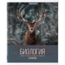 Тетради предметные, КОМПЛЕКТ 10 ПРЕДМЕТОВ, "КЛАССИКА XXI", 48 л., обложка картон, BRAUBERG, 404025 по низкой цене оптом Краснодар, Москва, Уфа, Казань, Барнаул, Владивосток, Хабаровск, Сахалин, Красноярск, Екатеренбург, 