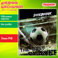 Дневник 1-11 класс 40л, на скобе, ПИФАГОР, обложка картон, Футбол, 106817