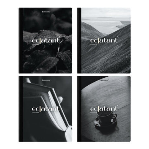 Тетрадь А5 96л. BRAUBERG на сшивке с корешком, клетка, обложка картон, Simplicity, 405288 по низкой цене оптом Тетрадь А5 96л. BRAUBERG на сшивке с корешком, клетка, обложка картон, Simplicity, 405288 по низкой цене оптом