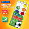 Краски акварельные BRAUBERG 12 цветов "Футбол", медовые, круглые кюветы, 192565 по низкой цене оптом 