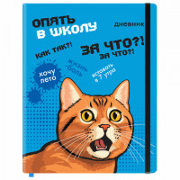 Дневник 1-11 класс 48л, кожзам (твердая), печать, резинка, конверт, FUNSTER, Опять в школу, 107231