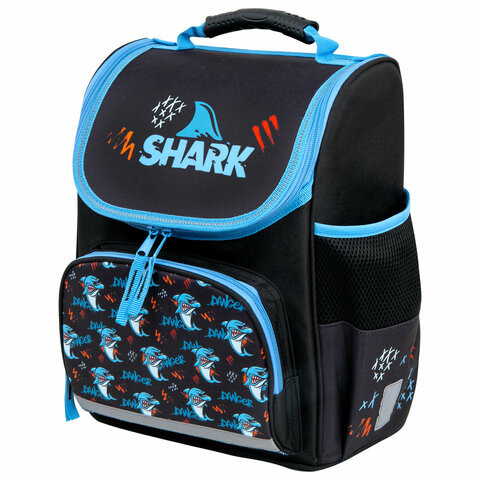 Ранец ПИФАГОР BASIC, 1 отделение, 3 кармана, эргономичная спинка, "Angry shark", 35х28х18 см, 272044 по низкой цене оптом 