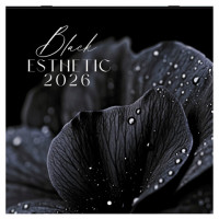 Календарь настенный перекидной 2026г, BRAUBERG, 12 листов, 28,5х28,5см, Black esthetic, 116927