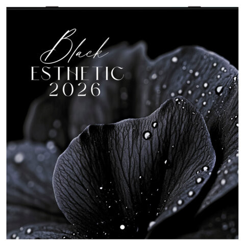 Календарь настенный перекидной 2026г, BRAUBERG, 12 листов, 28,5х28,5см, Black esthetic, 116927 по низкой цене оптом 