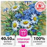 Картина по номерам 40х50 см, ОСТРОВ СОКРОВИЩ "Ромашки", на подрамнике, акрил, кисти, 662913 по низкой цене оптом 
