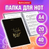 Папка тетрадь для нот А4, 20 вкладышей на 40 страниц, на гребне, пластик, ЧЕРНАЯ, BRAUBERG, 404643 по низкой цене оптом 