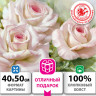 Картина по номерам 40х50 см, ОСТРОВ СОКРОВИЩ "Бело-розовые розы", на подрамнике, акрил, кисти,663286 по низкой цене оптом 
