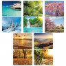 Коврик для мыши DEFENDER Silk Pad Nature, шелк+натуральная резина, 230x190x1,6 мм, 10 видов, 50707 по низкой цене оптом Краснодар, Москва, Уфа, Казань, Барнаул, Владивосток, Хабаровск, Сахалин, Красноярск, Екатеренбург, 