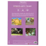 Бумага для гуаши А4 20л, 180 г/м2, 210х297мм, в папке, BRAUBERG АКАДЕМИЯ, "Котик", 117737 по низкой цене оптом Бумага для гуаши А4 20л, 180 г/м2, 210х297мм, в папке, BRAUBERG АКАДЕМИЯ, "Котик", 117737 по низкой цене оптом