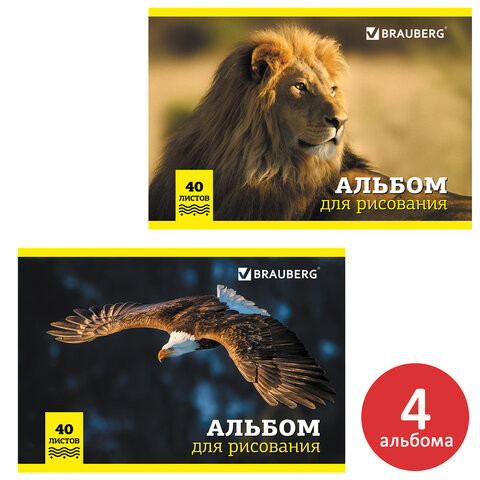 Альбомы для рисования А4 40 л., КОМПЛЕКТ 4 шт., скоба, обложка картон, BRAUBERG, 200х283 мм, "Дикие" (2 вида), 880039 по низкой цене оптом 