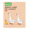 Тетрадь А5 48л. HATBER скоба, клетка, обложка картон, Гусь-веселюсь_Выпуск №2 (микс), 078789, 48Т5В1 по низкой цене оптом 