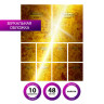 Тетради предметные, КОМПЛЕКТ 10 ПРЕДМЕТОВ, "GOLD", 48 л., С ЗОЛОТОЙ ОБЛОЖКОЙ, BRAUBERG, 404033 по низкой цене оптом 