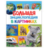 Большая энциклопедия в картинках, Котятова Н.И., 27861 по низкой цене оптом Краснодар, Москва, Уфа, Казань, Барнаул, Владивосток, Хабаровск, Сахалин, Красноярск, Екатеренбург, 