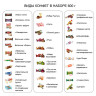 Подарок новогодний "Степашка", 600 г, НАБОР конфет, мягкая игрушка, DT 035 (210811) по низкой цене оптом 
