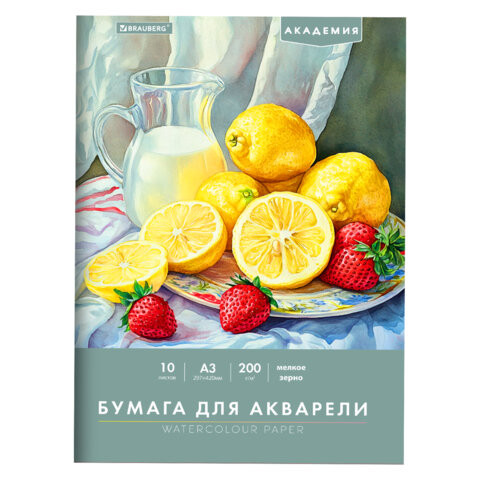 Папка для акварели БОЛЬШАЯ А3, 10л., 200 г/м2, 297х420мм, BRAUBERG АКАДЕМИЯ, "Летний натюрморт", 117741 по низкой цене оптом 