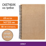 Скетчбук, крафт бумага 80 г/м2, 145х205 мм, 60 л., гребень, твердая обложка, BRAUBERG ART DEBUT, 115065 по низкой цене оптом Краснодар, Москва, Уфа, Казань, Барнаул, Владивосток, Хабаровск, Сахалин, Красноярск, Екатеренбург, 