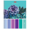 Тетрадь А5, 80 л., HATBER гребень, клетка, обложка картон, "Color Set" (4 вида в спайке), 80Т5В1гр по низкой цене оптом Краснодар, Москва, Уфа, Казань, Барнаул, Владивосток, Хабаровск, Сахалин, Красноярск, Екатеренбург, 