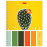Тетрадь А5, 80 л., HATBER гребень, клетка, обложка картон, "Color Set" (4 вида в спайке), 80Т5В1гр по низкой цене оптом Краснодар, Москва, Уфа, Казань, Барнаул, Владивосток, Хабаровск, Сахалин, Красноярск, Екатеренбург, 
