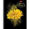 Тетрадь А5, 96 л., HATBER, гребень, клетка, обложка картон, "FlowerOnblack" (4 вида в спайке), 96Т5В1гр по низкой цене оптом 