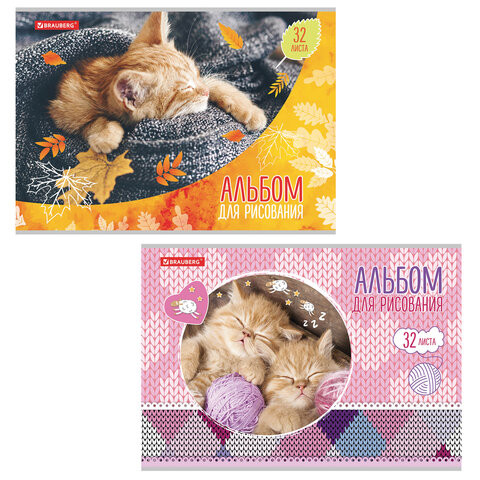 Альбом для рисования А4 32 л., скоба, выборочный лак, BRAUBERG, 202х285 мм, "Котята" (2 вида), 105613 по низкой цене оптом 