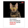 Тетрадь А5 48л. HATBER скоба, клетка, обложка картон, Котоюмор (микс в спайке), 079790, 48Т5В1 по низкой цене оптом 