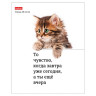 Тетрадь А5 48л. HATBER скоба, клетка, обложка картон, Котоюмор (микс в спайке), 079790, 48Т5В1 по низкой цене оптом 