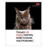 Тетрадь А5 48л. HATBER скоба, клетка, обложка картон, Котоюмор (микс в спайке), 079790, 48Т5В1 по низкой цене оптом 