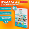 Бумага BRAUBERG DIGITAL GLOSSY мел.глянц А4, 105г/м, 250л, д/полноцв. лазер. печати,1 по низкой цене оптом 
