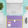Папка-портфель пластиковая BRAUBERG "JOY", А4 (330х245х35 мм), 13 отделений, с окантовкой, фиолетовая, 227977 по низкой цене оптом Краснодар, Москва, Уфа, Казань, Барнаул, Владивосток, Хабаровск, Сахалин, Красноярск, Екатеренбург, 