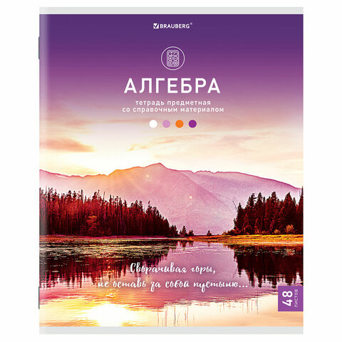Тетрадь предметная "КЛАССИКА NATURE" 48 л., обложка картон, АЛГЕБРА, клетка, BRAUBERG, 404580 по низкой цене оптом 