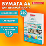 Бумага BRAUBERG DIGITAL GLOSSY мел.глянц А4, 115г/м, 250л, д/полноцв. лазер. печати,1 по низкой цене оптом 