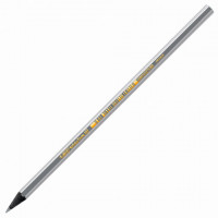 Карандаш чернографитный BIC, 1 шт., "Evolution ECOlutions Black", HB, без резинки, пластиковый, корпус серебристый, заточенный, 896017