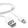 Зарядное устройство сетевое (220 В) RED LINE ТС-1A, кабель для IPhone (iPad) 1 м, 1 порт USB, выходной ток 1 А, белое, УТ000012251 по низкой цене оптом 