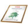 Рамка 30х40 см, дерево, багет 18 мм, BRAUBERG "HIT", канадская сосна, стекло, 390026